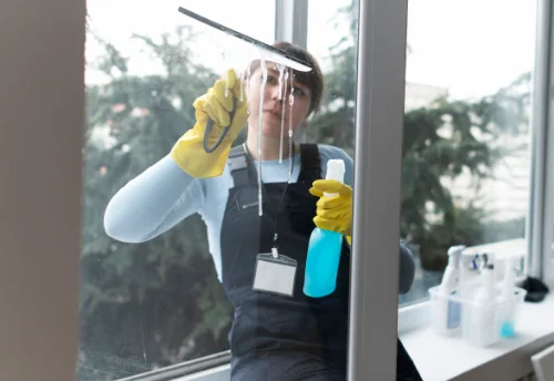 Nettoyage de vitres intérieures et extérieures à Baupte